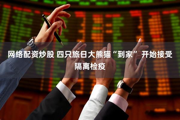 网络配资炒股 四只旅日大熊猫“到家” 开始接受隔离检疫