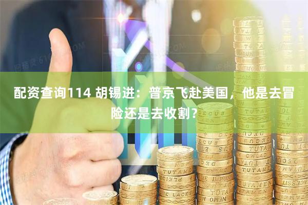 配资查询114 胡锡进：普京飞赴美国，他是去冒险还是去收割？